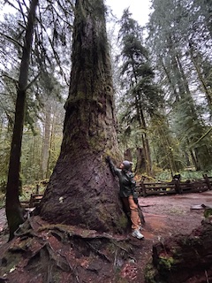 Me and Big Tree Photo